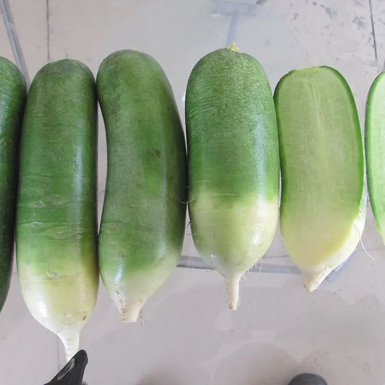 シャキシャキ大根