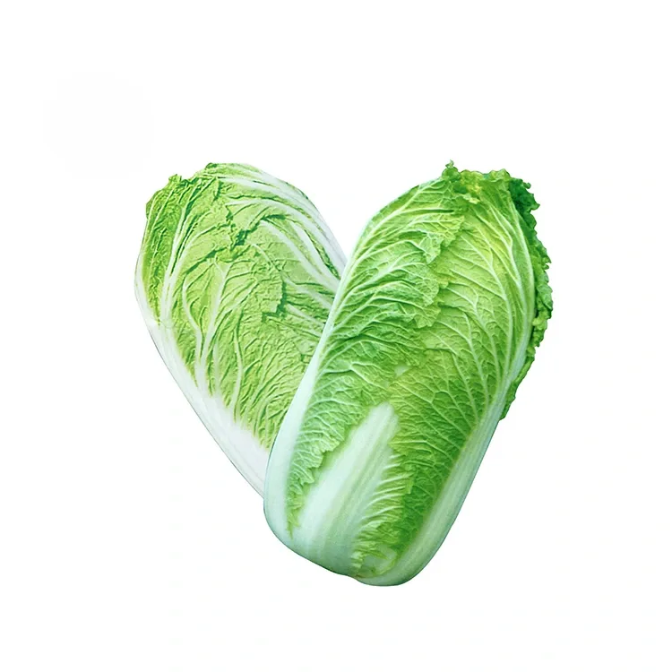 庭の新鮮な白菜