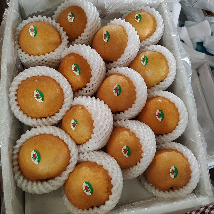 プレミアム新郷梨
